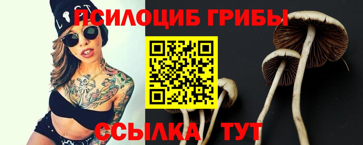 Псилоцибиновые грибы GOLDEN TEACHER Ноябрьск